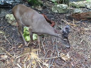 10341492_10152915386732289_7143251266320384745_n