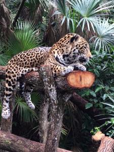 10593014_10152915386352289_3431660272568840826_n